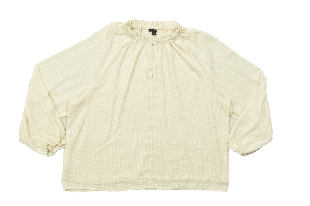 Ann Taylor Blouse XXL Women Ivory Textured Clip Dot Ruffle Neck Long Sleeve